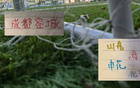 上半程北京国安面对海港 成都 泰山 申花 一场未赢